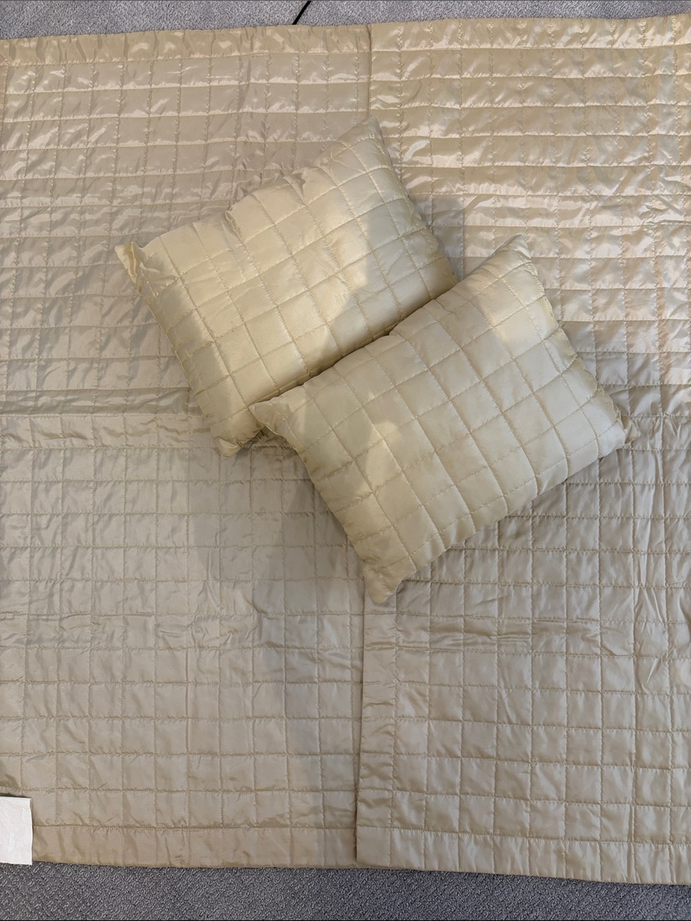 EUC President’s Choice Satin Polyester Quilt Plus Two Accent Pillows